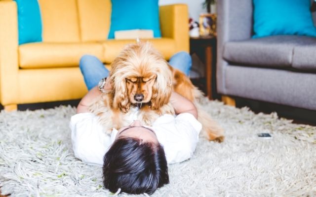 The Benefits of Renting to Tenants with Pets